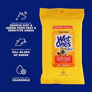 Wet Ones for Pets Paw & Tushie Dog Wipes With Chamomile, 30 ct - 8 Pack | Dog Wipes For All Dogs in Tropical Splash Scent | Dog Grooming Wipes, Dog Bathing Supplies, Pet Wipes for Paw and Butt Wet Ones for Pets Paw & Tushie Dog Wipes With Chamomile, 30 ct – 8 Pack | Dog Wipes For All Dogs in Tropical Splash Scent | Dog Grooming Wipes, Dog Bathing Supplies, Pet Wipes for Paw and Butt