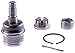 Dorman BJ96125XL Front Lower Suspension Ball Joint Compatible with Select Jeep Models