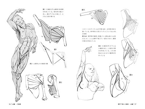 決定版 21年02月発売のcg関連書籍をチェック Cginterest