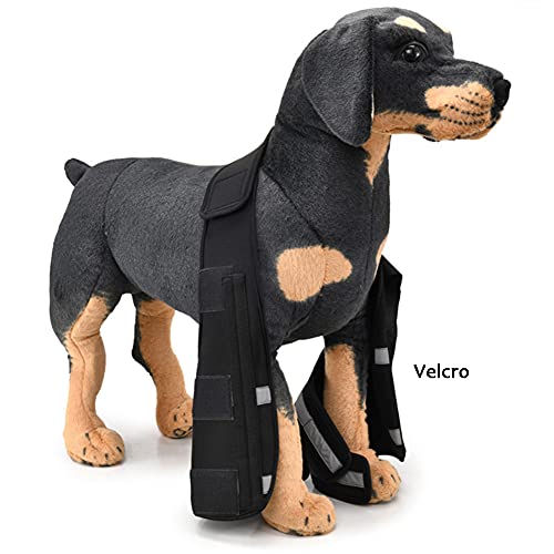 ABCD Tutore per la Gamba Anteriore del Cane e