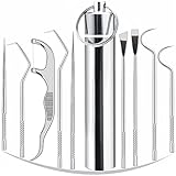 TwwTCRO 9PCS Personal Portable Stainless Steel Toothpicks Set for Teeth, Reusable Metal Tooth Picks Pocket Tooth Cleaning Kit, Holders Toothpick Dispenser for Outdoor Picnic Camping Traveling