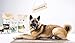 RAW Nature - Ente Pur 6x400g - Mit Hirse und Birne - Nassfutter für Hunde - Hoher Fleischanteil - Monoprotein - Alleinfuttermittel - Getreidefreies Hundefutter (6er Pack)