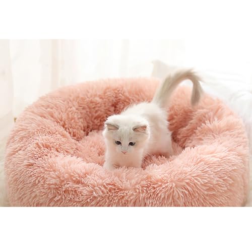 [ADSNS] Lxbh xbh ybg\t@ J[6 ybg\t@ L\tgxbh NbV ybgxbh L  ӂӂ Eh^ 70 ~ h \ q Lp Lp q ^pxbh p ybgpi 薰 