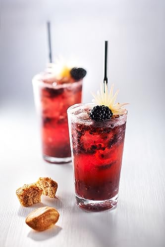 Image of 1883 Blackberry Syrup for Drinks with Pump - Premium French Flavoring Syrup for Cocktails, Mocktails, Lemonade & Iced Beverages - 1L Plastic Bottle, Made in France