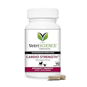 VetriScience-Laboratories-Cardio-Strength-90-Capsules-Supports-Blood-Flow-Immune-System-and-Energy-Levels-for-Dogs-and-Cats VETRISCIENCE - Cardio Strength, Cardiovascular and Circulatory Support Supplement for Dogs and Cats, 90 Capsules