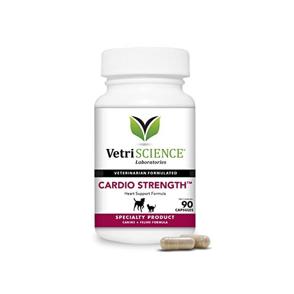 VetriScience-Laboratories-Cardio-Strength-90-Capsules-Supports-Blood-Flow-Immune-System-and-Energy-Levels-for-Dogs-and-Cats VETRISCIENCE - Cardio Strength, Cardiovascular and Circulatory Support Supplement for Dogs and Cats, 90 Capsules