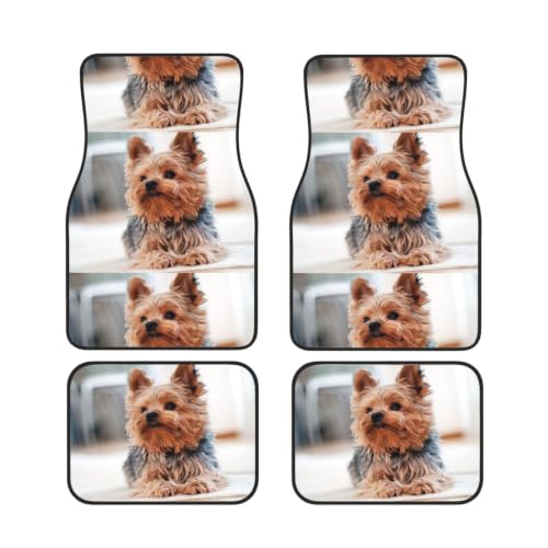 Alfombrillas para coche de Yorkshire Terrier para viajes familiares y trayectos diarios