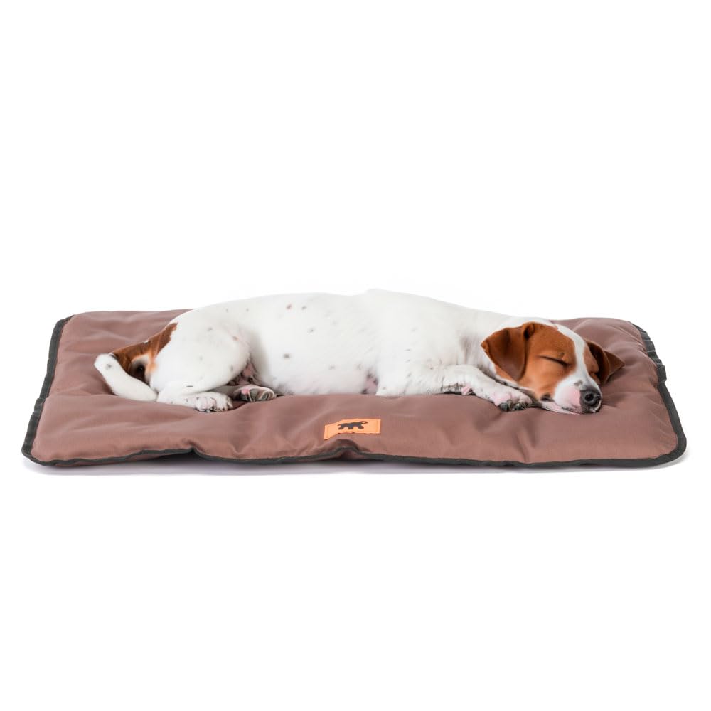 FERPLAST - Cama para Perros y Cama para Gatos - Perrera pequeña Lavable - Colchoneta para Perros - Impermeable y a Prueba de arañazos - Cojín Suave para Perros - Jolly, 65 x 48 CM, Marron
