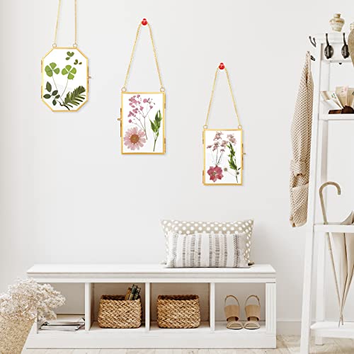 Bucherry 5 Pcs Glass Frame For Diy Pressed Flowers Art Brass Hanging Photo Picture Frame With Chain And 6 Styles Pressed Flowers Collage Glass Craft Frames For Wall Decor Display Gallery (Gold) #TOP5