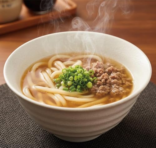 冷凍 肉うどん さぬきうどん 10食入り(1食あたり241g) 包丁切り 讃岐うどん 本場のうどんのコシをご堪能ください。お中元 お歳暮 ギフト プレゼント