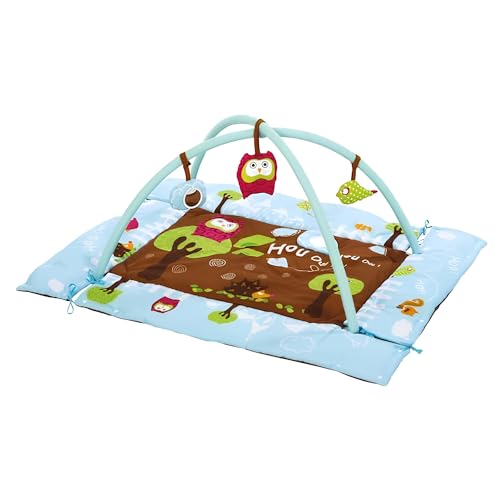 Ludi - Aire D'Éveil « Chouette » - 4 Tubes Gonflables, Tapis Confortable, 2 Arches Amovible & Activités Sensorielles - Dès La Naissance - Développe La Motricité & La Dextérité - 110 x 110 x 48 cm
