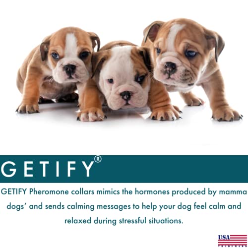Getify Calming Collar For Dogs Anxiety And Stress Relief, Pheromone Dog Calming Collars 1 Pack + Side Gift Waste Bag 1Roll #TOP3