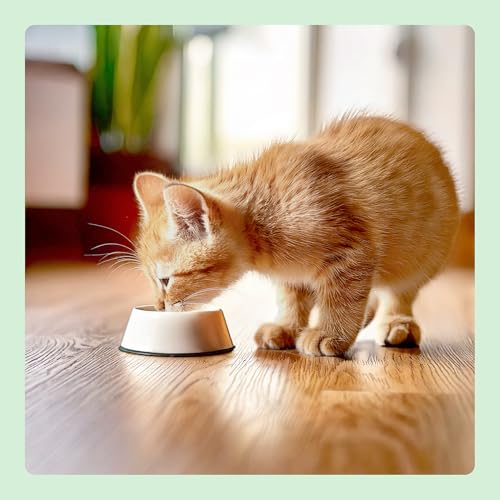 Miniatura 7 de by Amazon Alimento seco para Gatitos con Pollo Fresco, Receta sin Cereales, 3 kg (Paquete de 1) (Anteriormente una Marca Lifelong, el Mismo Producto)