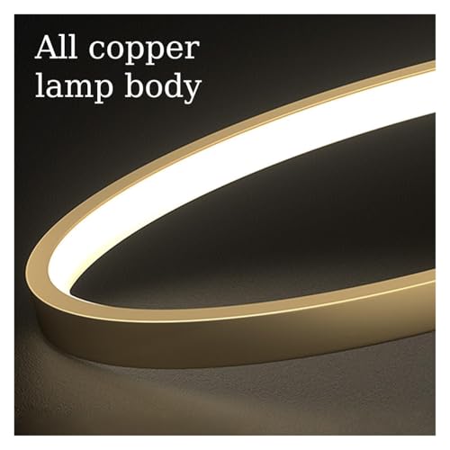 Luces Colgantes de Anillo LED Minimalistas Lámpara de Techo Suspendida Kxtmm 2