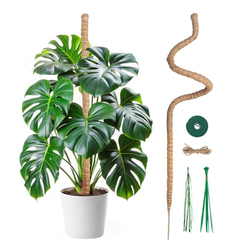 Mcbazel Tutor de Plantas Trepadoras sobre Estaca de Planta, 120 cm Soporte de Planta, Tutor de Coco, Ancho de 7 mm, Plegable, Poste de Crecimiento de Plantas Trepadoras para Plantas Monstera/Jardín