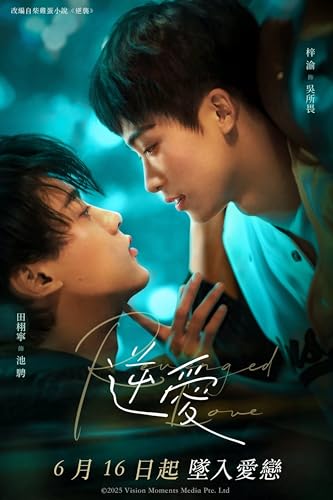 華流BLドラマ 逆愛～Revenged Love～ DVD 日本語字幕 全２４話 トールケース付 [並行輸入品]のサムネイル