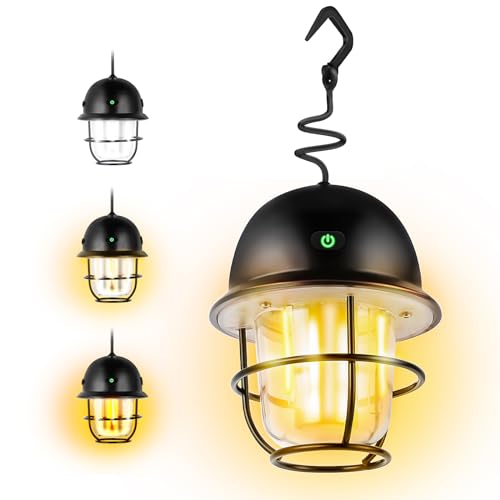 DGRTDZ Camping Lantern, Rechargeable Retro Camping Torch Lamp, Ultra Bright Camping Light Stepless Dimming Brightness & 4 Colour Light Options, IP65 W