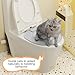 Cat Toilet Trainer Kit, No-Drill, Easy Setup, 39x36.5x26cm, Litter Training Tool, Suction Cup Cat Toilet, Suction Cup Base, for Kittens, Cats, & Apartment Settings