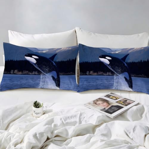 Housse de couette 240x260 grand format pour lit double confortable - 4