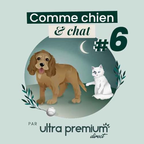 Couverture de Semaine 6 - Comme chien et chat