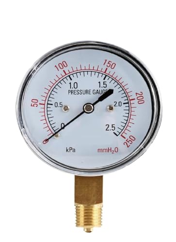 Manómetro de presión de gas mecánico con membrana de cápsula industrial G1-4