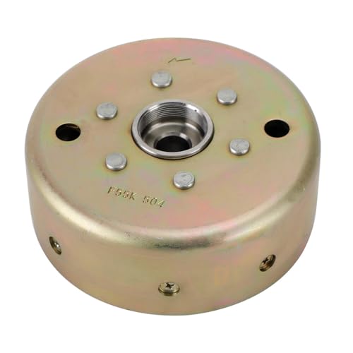 Rotor de volant d'inertie de haute précision pour Blaster 200 - 3
