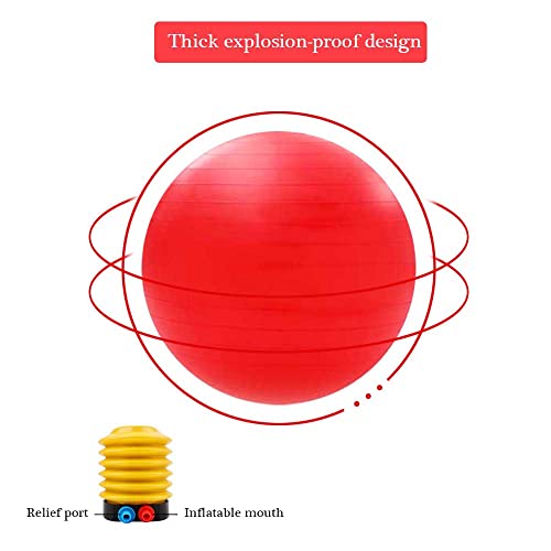 Pleuro Horse Ball Training Toy, Large Ball Horse Toys,Anti-Burst Horse Exercise Ball Toy With Inflator Pump For Horse Lamb Goat Enterainment Toy Ball (17", Red) #TOP1