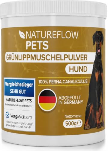 Grünlippmuschel Hund TESTSIEGER - 500g natürliches Grünlippmuschelpulver für Hunde - Unterstützung der Gelenkfunktion - Grünlippmuschel für Hunde mit Hoher Akzeptanz - Grünlippmuschelpulver Hund