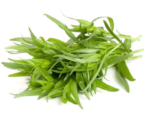 New 100pcs Green Tarragon Plant Seeds