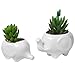Produktbild Nrpfell Set von 2 suesser Elefant weisse Keramik Blumentopf mit Tablett fuer Sukkulenten Kaktus Pflanzen Mini Topf Planter Haus Garten Dekoration