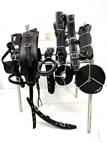 AMAZING HORSE STUFF Nylon Driving Harness for Horse Cart, Heart Shaped Studd & Sparkling Stones on Browband (Full, Cob, Pony, Shetland, Mini, Black) (Full)
