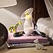 Medela Silicone Breast Milk Collector, Milk Saver with Spill-Resistant Stopper, Suction Base and Lanyard, 3.4 oz/100 mL