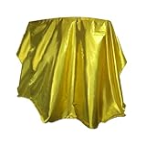 Soft Flag Wings Dance Props Belly Dance Wing Flags and Stick Wings Performance Props (Gold)