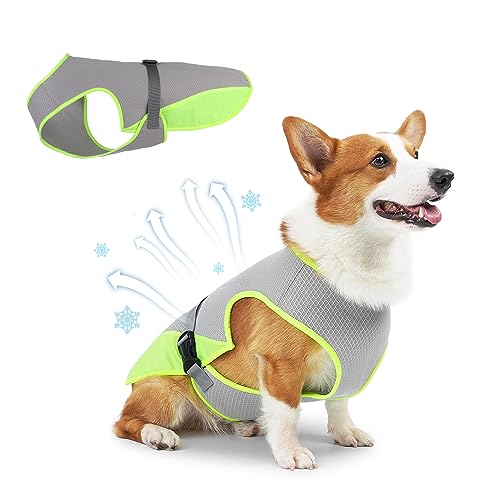 COMFPET Gilet Refrigerante per Cani Piccolo - Grigio