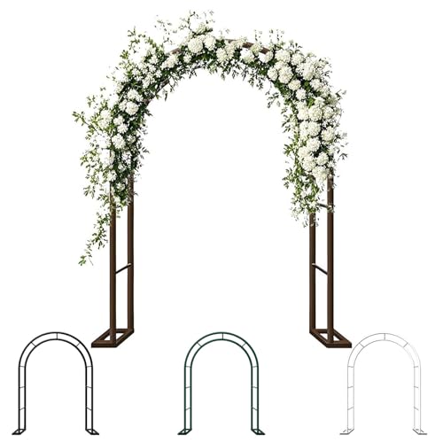 Arche de jardin en métal robuste grand format pour rosier grimpant