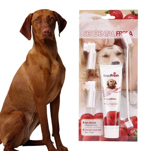 Kit De Cepillo De Dientes Para Perros – Pasta De Dientes Para Mascotas, Cabezales De Cepillo Comestibles | Extractos De Plantas Naturales Para El Cuidado Bucal, Pasta De Diente Refrescante Para