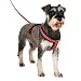 HALTI Comfy Hundegeschirr - Fleecefutter mit 3M-Reflektorgewebe, Befestigung vorne und hinten für zusätzliche Kontrolle mit einer Hundeleine. Geeignet für kleine Hunde und Welpen (Größe S)