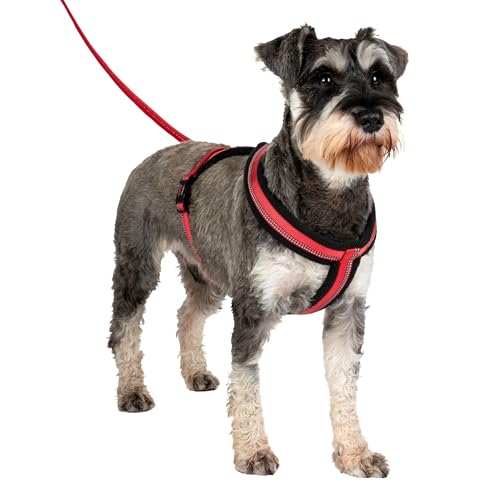 HALTI Comfy Hundegeschirr - Fleecefutter mit 3M-Reflektorgewebe, Befestigung vorne und hinten für zusätzliche Kontrolle mit einer Hundeleine. Geeignet für kleine Hunde und Welpen (Größe S)