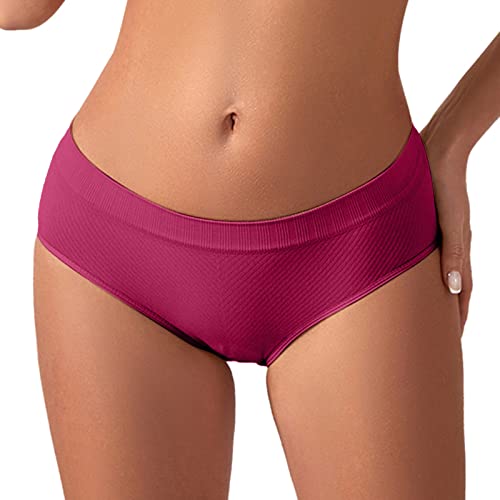 Shffuw Traje Mujer Pantalones Mujer Verano Faja Cesarea Slip Shorts para Debajo De Los Vestidos Mujeres Boyshorts Sin Costuras Bragas Interior Anti Rozaduras Muslos Bandas Antirozaduras Red L