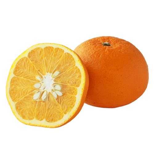 愛媛県西予市産 サンフルーツ(新甘夏)極上 約6kg 極上品 サンフルーツ サンフル 新甘夏 愛媛県 西予市