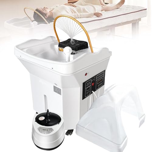 Head - Equipo de spa con tanque de agua de 60 L, lavabo termostático portátil para champú de circulación con función de fumigación y terapia de luz para salones y clubes de salud Head - Equipo de spa con tanque de agua de 60 L, lavabo termostático portátil para champú de circulación con función de fumigación y terapia de luz para salones y clubes de salud