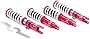Godspeed MSS0130 compatible with Honda S2000 (AP) 2000-09 MonoSS Coilovers Suspension Lowering Kit