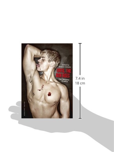 Until the Sun Rises: Gay Vampire Erotica