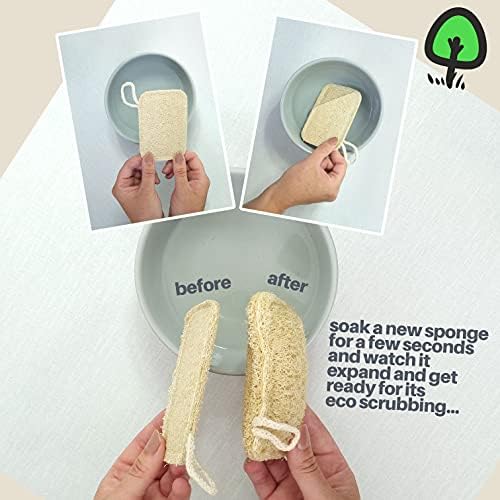 ecoME Cellulose Kitchen Washing Up Natural Loofah Sponge Scourer | eco-Friendly Friendly Home Cleaning Products | Non-Scratch Sponges | Zero Plastic | Biodegradable & Compostable | 8 Pack |UK Brand