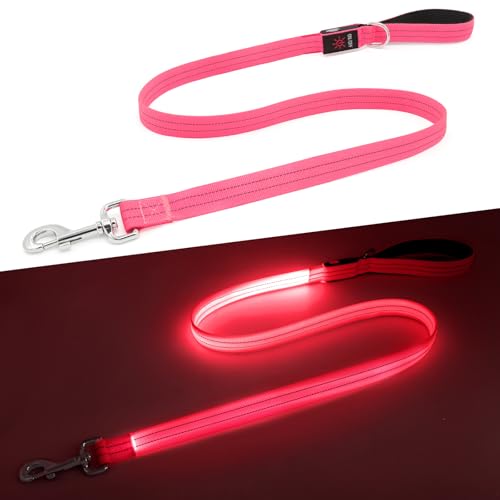 Kpuplol LED Dog Leash for Night Walking, 1600FT USB-Rechargeable Reflective & Glow-in-the-Dark Leash with Padded Handle