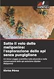 Edizioni Sapienza