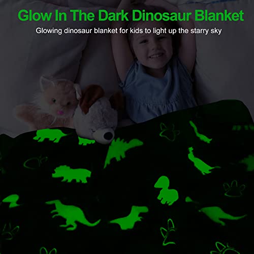 TEHALK Dinosaur Glow in the Dark Kids Throw Blanket, 60"x80", Blue