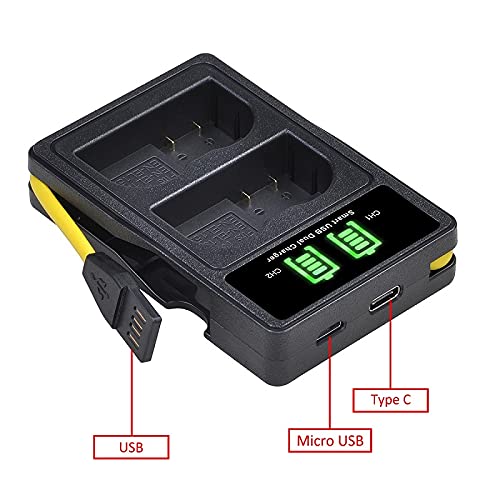 PowerTrust Batteria DMW-BMB9 Con Doppio Caricatore USB-C | 1500mAh Per Panasonic Lumix FZ82/FZ100