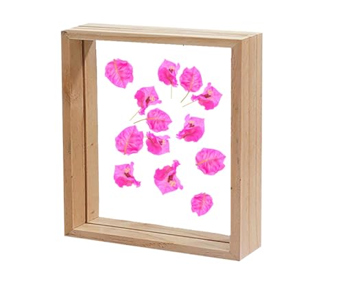 Image of Desi Rang Wooden Square Frame For Wall Decor Table Top Hanging Any Green Or Dry Plant Leaf Picture Photo DIY Gift Home Decoration (Natural,Sqr,7X7 Inch,With Pink Flower)