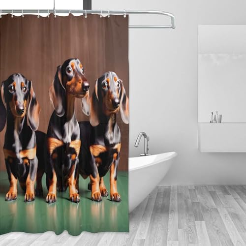 Rideau de douche teckel anti-moisissure en polyester imperméable 183x183cm